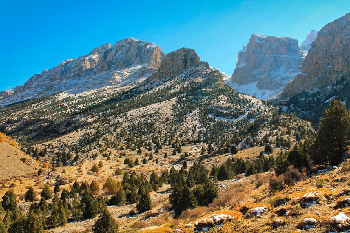 Aladaglar Mountain Hostel Cukurbag  Exteriér fotografie